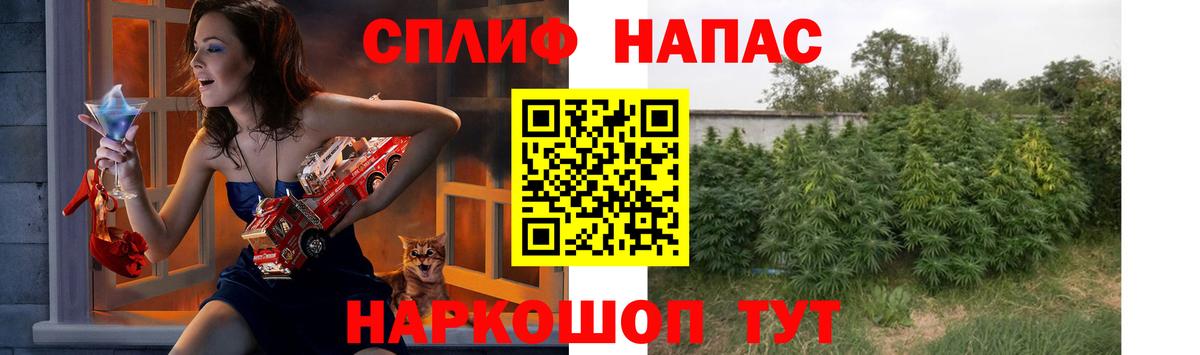 МАРИХУАНА планчик Трёхгорный